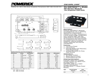 CM150RL-24NF.pdf