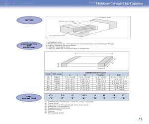 CL10C100CCNC.pdf