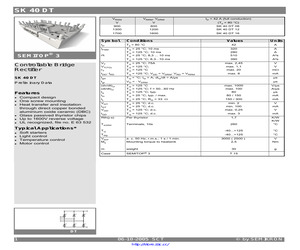 SK40DT08.pdf