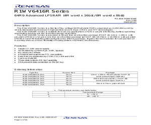 R1WV6416RSA-5SI#B0.pdf