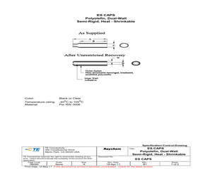 ES-CAP-NO.1-C1-0-30MM.pdf