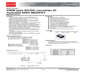 BM2P033.pdf