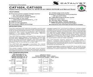 CAT1025JE-42TE13.pdf