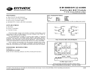 DIM800DDM12.pdf