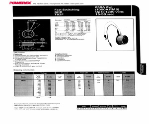 T82F016532DN.pdf