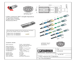 ST-17S1N8A8003S.pdf