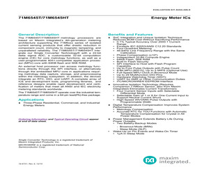 71M6545T-IGT/F.pdf