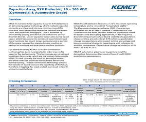 CA064X102K2RAC7800.pdf