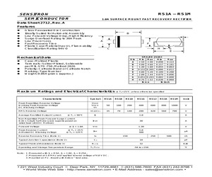 RS1M-GT3.pdf