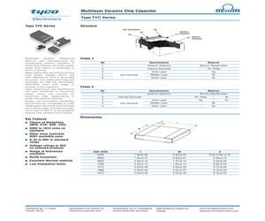 TYC0603.pdf