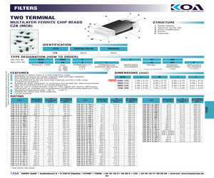 CZB1JSTE141P.pdf