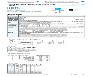 KRG10VB10000MM25.pdf