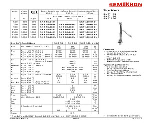 SKT100/06D.pdf