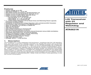 ATA6621N-PGPW.pdf