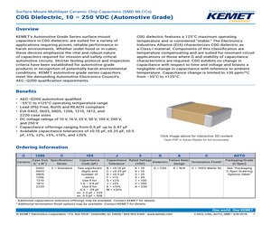 12001-502-XTP.pdf