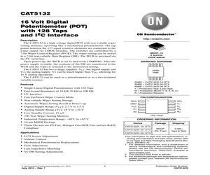 CAT5132ZI-00-G.pdf