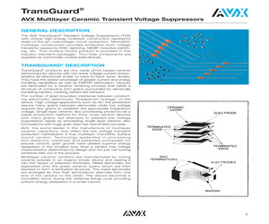 VC060314A300D.pdf