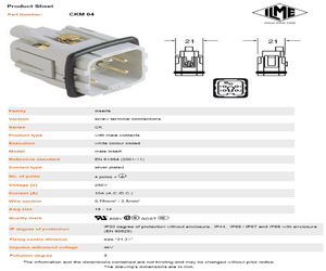 CKM04.pdf