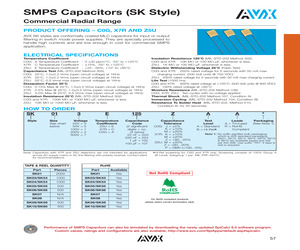 SK011C163KAR.pdf