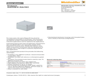 KLIPPON K1 RAL7001.pdf