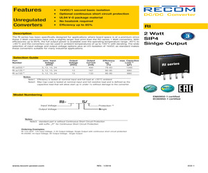 RI-2405S/P.pdf