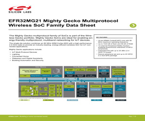 EFR32MG21A020F1024IM32-BR.pdf