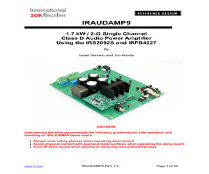 IRAUDAMP9.pdf