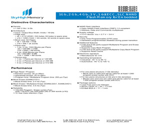 S34ML04G100TFV000.pdf