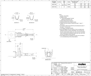 458070004.pdf