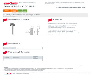 DSS1ZB32A470Q55B.pdf