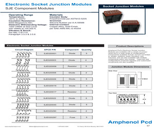 SJE020045.pdf