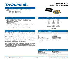 TQM976027.pdf