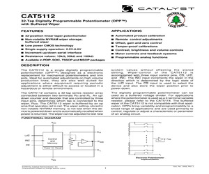 CAT5112VI00.pdf