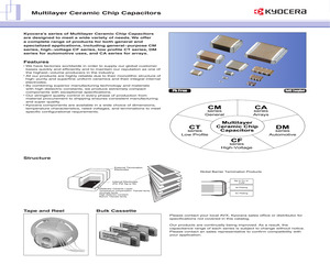 CAF12CG100G50AL.pdf