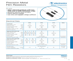 RC55Y-100RBICECC40101-804A.pdf