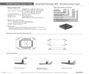 IC234-1004-013N.pdf