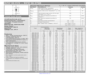 BZW06/9V4.pdf