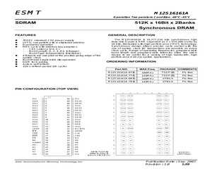 M12S16161A-7TIG.pdf