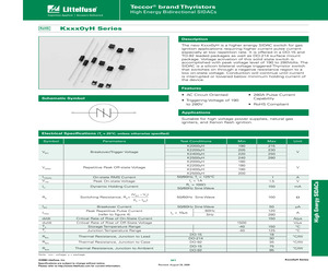 K2000GHAP.pdf