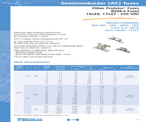 BS17UZ25V100.pdf