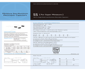 SS016M0047B5SL0607.pdf