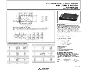 PM75RSA060.pdf