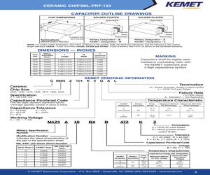 M123A10BPC120KS.pdf