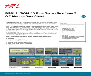 BGM121A256V2R.pdf