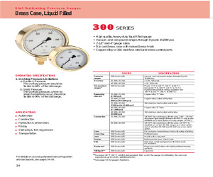 25.300.100PSI.pdf