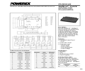 PM25RSK120.pdf