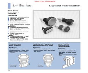 L43L3100.pdf