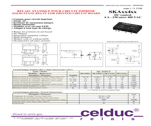 SKA20420.pdf