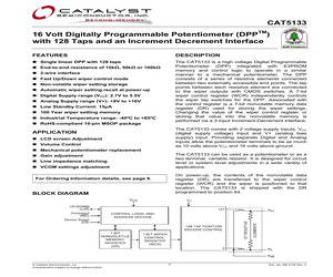 CAT5133ZI-10-GT3.pdf