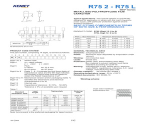 R752N38204000J.pdf